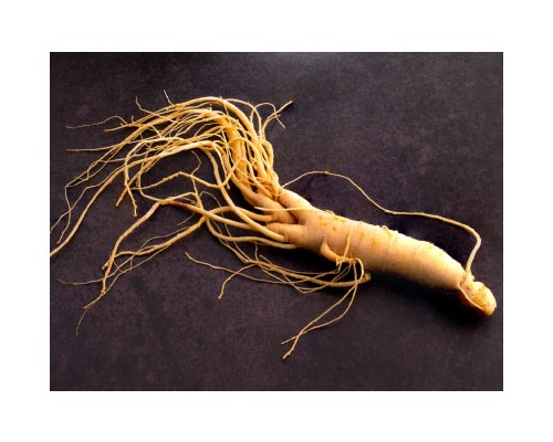 Wild Ginseng Exosome