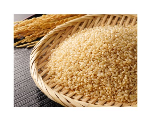 Rice (Brown Rice) Exosome