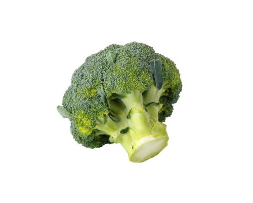 Broccoli Exosome