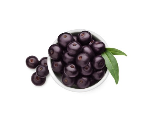 Acai Berry Exosome