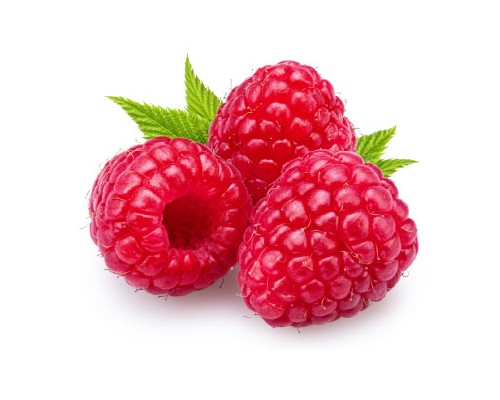 Raspberry Exosome